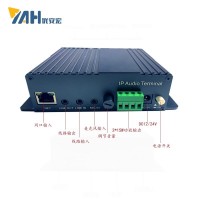 网络音频解码终端带功放NT105