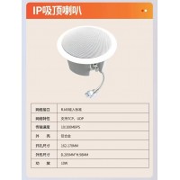网络吸顶喇叭室内背景音乐播放音箱