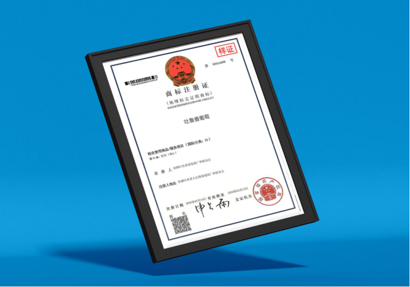 新疆地理商标证书