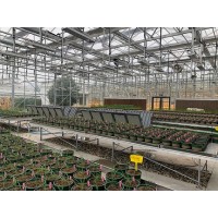 实验室传送带植物表型平台