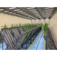 实验室桁架植物表型平台