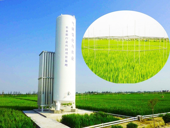OTC根系研究