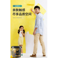 蓝翠鸟 玛拉彩石免腻子艺术涂料旧房翻新