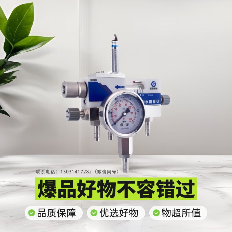 双机械轴封水流量计