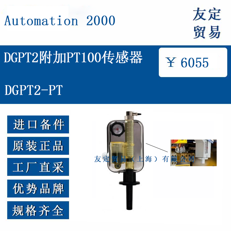 DGPT2-PT DGPT2附加PT100传感器