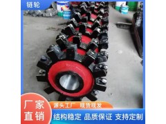 转角轮 窝式链轮 斗式提升机链轮总成