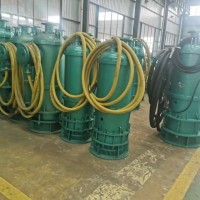 BQS矿用隔爆型潜水排沙电泵