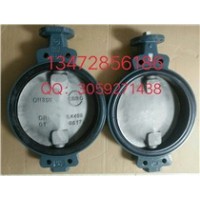 原装正品现货应该德国依搏罗蝶阀Z011-A DN350