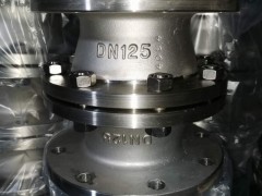 GZW-1管道阻火器 不锈钢管道阻火器