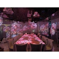 ‌多媒体展览投影膜 透明高透全息贴膜 玻璃投影成像膜‌