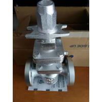 日本TLV蒸汽减压阀COSR-16总代直供 上海