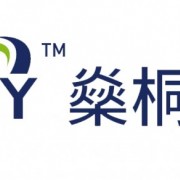 深圳市燊桐启元电子科技有限公司