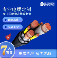 2YSLCYK-J 0.6/1KV变频器电缆