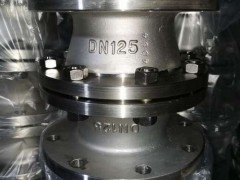 GZW-1管道阻火器 不锈钢管道阻火器