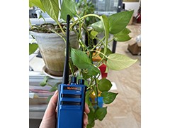 济南化工石油对讲机 铭源通防爆对讲机DM600